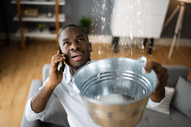 Best Fire Damage Restoration  in Leslie, MI