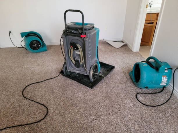 Best Commercial water damage restoration  in Leslie, MI