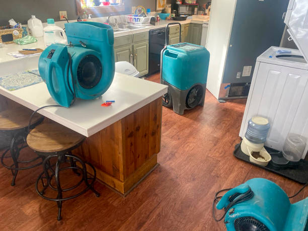 Best Water damage cleanup near me  in Leslie, MI