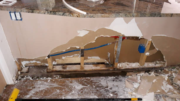 Best Mold removal after water damage  in Leslie, MI