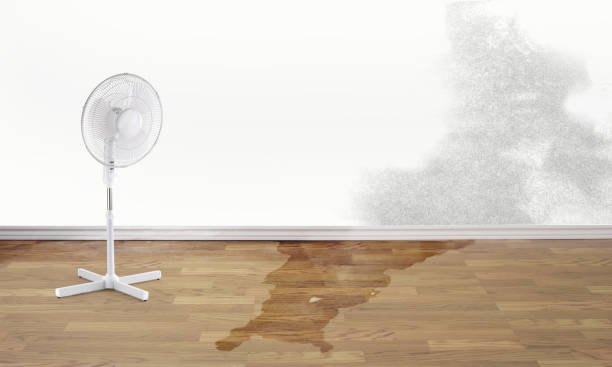 Best Ceiling water damage repair  in Leslie, MI