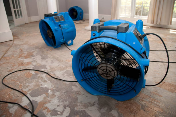 Best Water damage restoration near me  in Leslie, MI