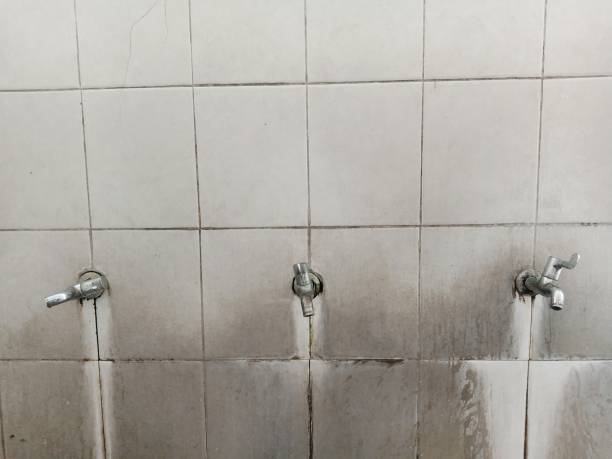 Best Basement water damage restoration  in Leslie, MI