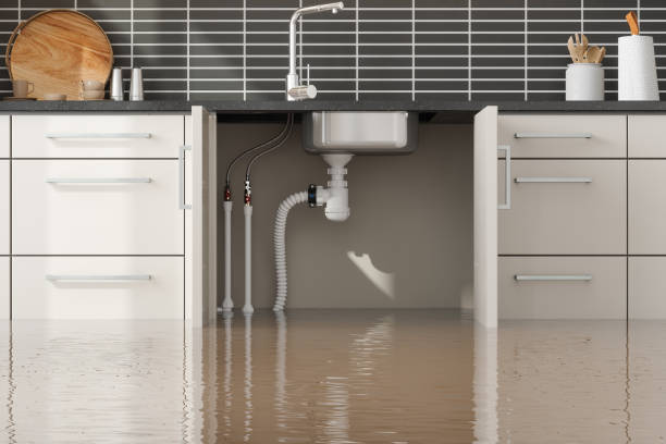 Best Local water damage restoration  in Leslie, MI