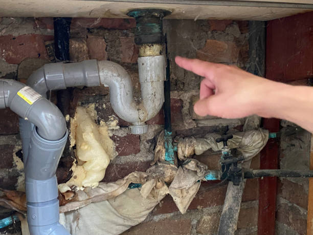 Best Carpet water damage restoration  in Leslie, MI