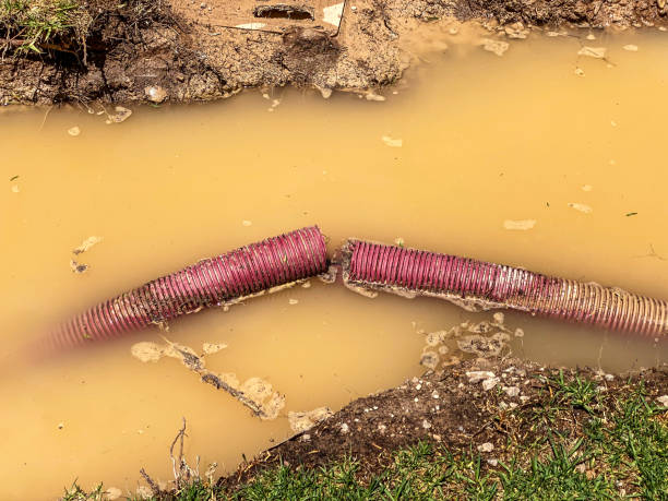 Best Flood restoration services  in Leslie, MI