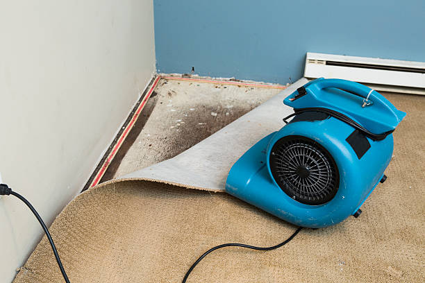 Professional Water damage restoration in Leslie, MI